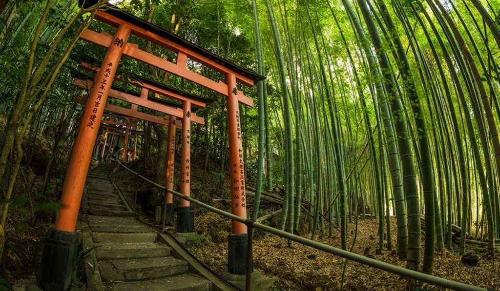 Un susurro en Kioto: El misterio del bosque de bambú de Arashiyama