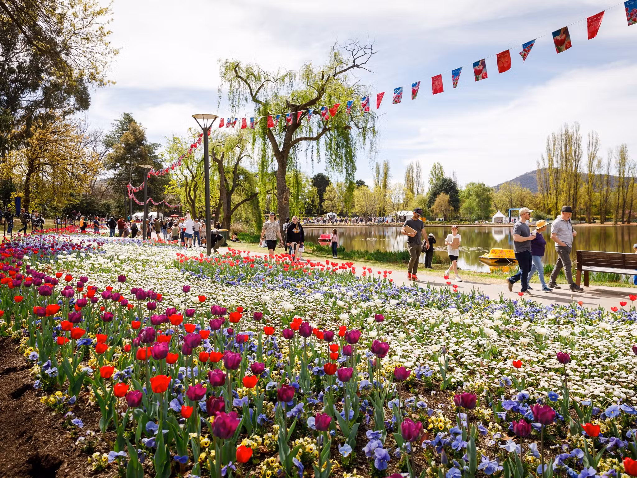 Cuando el el color y el arte de la naturaleza se apodera de Canberra: Floriade revive cada año