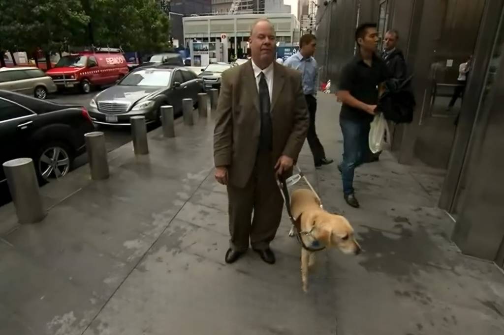 La lealtad en medio del caos: La historia de Roselle, la perra guía que salvó vidas en el atentado del 11-S