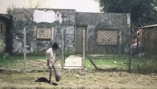 Diego Maradona - El Eterno "Pelusa": Una trayectoria más allá de la cancha, marcada por triunfos y excesos