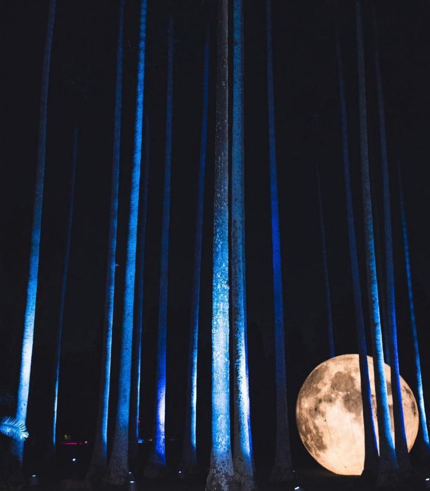 Cuando la naturaleza se vuelve un lienzo de luz: El fenómeno inmersivo del "Jardín Secreto"