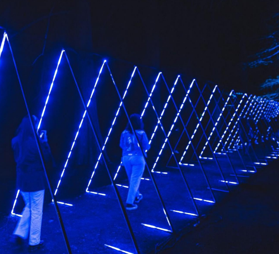 Cuando la naturaleza se vuelve un lienzo de luz: El fenómeno inmersivo del "Jardín Secreto"