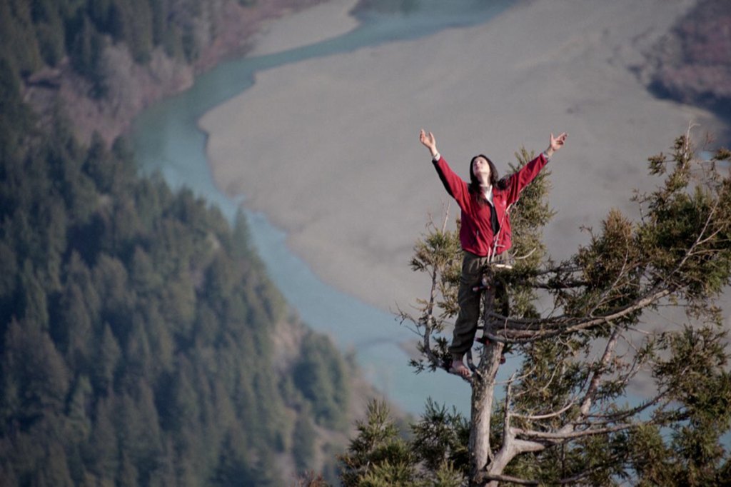 La activista que vivió 738 días en un árbol&nbsp;gigante