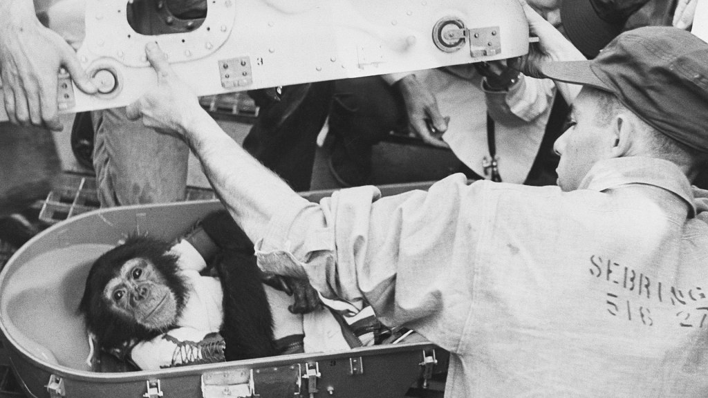 Ham: El primer chimpancé en viajar al&nbsp;espacio